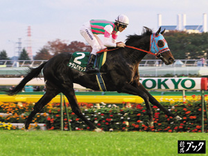 2010年11月東京スポーツ杯２歳Ｓ（Ｇ３）