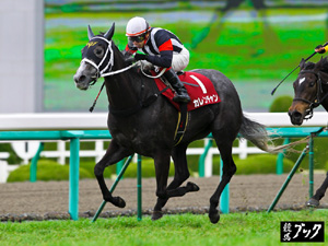 2011年４月阪神牝馬ステークス（Ｇ２）