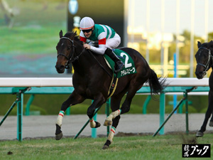 2011年12月ラジオＮＩＫＫＥＩ杯２歳ステークス（Ｇ３）