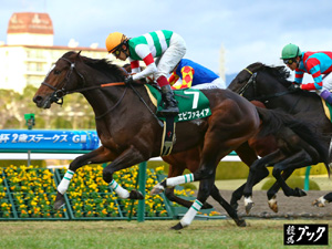 2012年12月ラジオＮＩＫＫＥＩ杯２歳ステークス（Ｇ３）