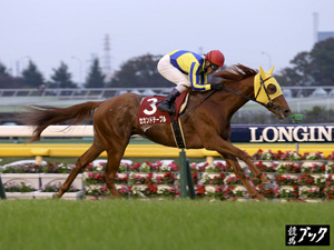 2014年11月京王杯２歳ステークス（Ｇ2）