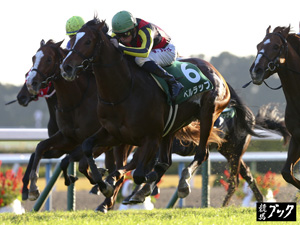 2014年11月ラジオＮＩＫＫＥＩ杯京都２歳ステークス（Ｇ３）