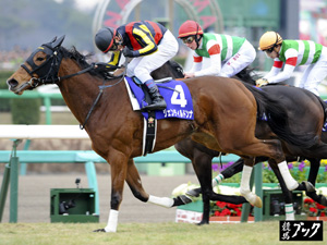 2014年12月有馬記念（Ｇ1）