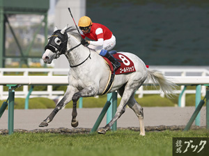 2015年3月阪神競馬場（Ｇ２）