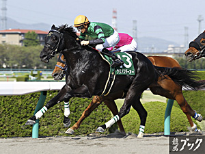 2015年５月アンタレスステークスＳ（Ｇ３）