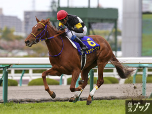 2015年4月桜花賞（Ｇ２）