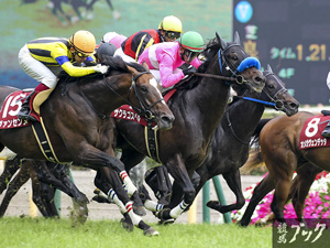 2015年５月京王杯スプリングカップ（Ｇ２）